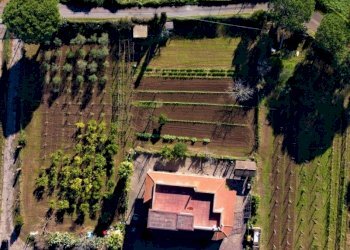 Villa Quadrifamiliare Sessa Aurunca - foto 6