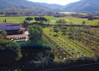 Villa Quadrifamiliare Sessa Aurunca - foto 9