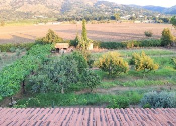 Villa Quadrifamiliare Sessa Aurunca - foto 18