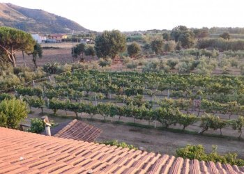 Villa Quadrifamiliare Sessa Aurunca - foto 19