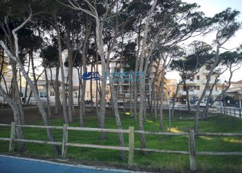 Independent house via Abruzzo, Alba Adriatica - photo 2