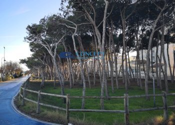 Independent house via Abruzzo, Alba Adriatica - photo 11