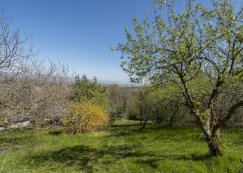 Casa indipendente Via Beltramone, 33, Barge - foto 13