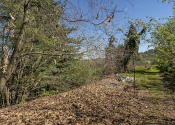 Casa indipendente Via Beltramone, 33, Barge - foto 19