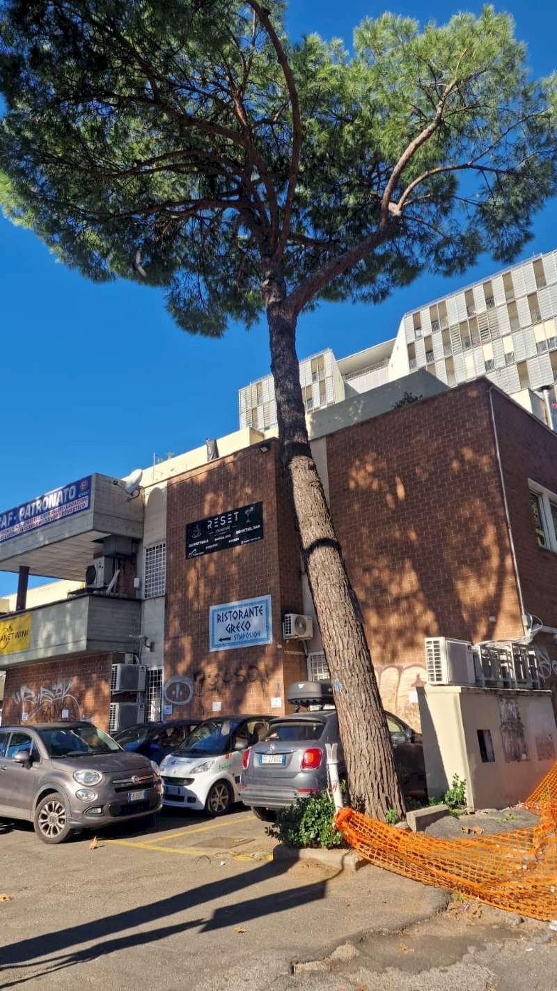 immagine whatsapp 2025-11-04 ore 11.52.34_8ad2a3c0 - Ufficio via pietro l'eremita, Roma - foto 3