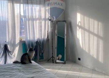 Monolocale via Nino Costa, 18 
 Pianezza, Pianezza - foto 8