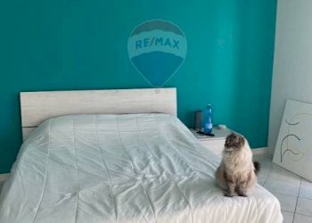 Monolocale via Nino Costa, 18 
 Pianezza, Pianezza - foto 9