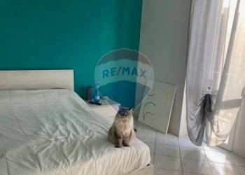 Monolocale via Nino Costa, 18 
 Pianezza, Pianezza - foto 15