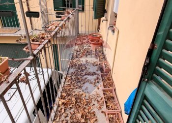 Trilocale Centro-P.zza Matteotti, Alessandria, Alessandria - foto 24