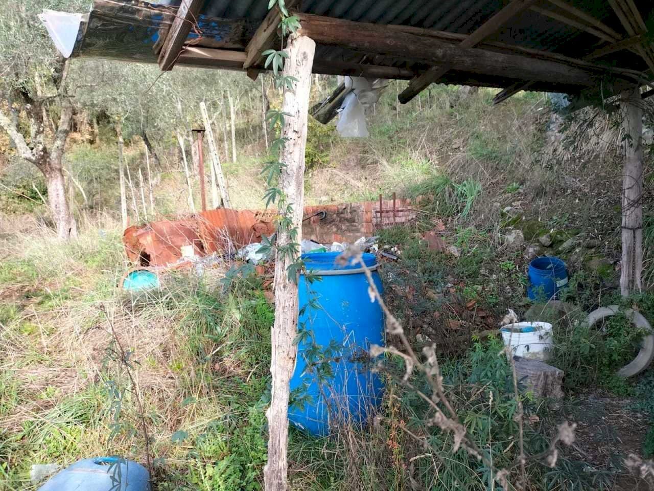 esterno - Terreno agricolo Santo Stefano di Magra - foto 2