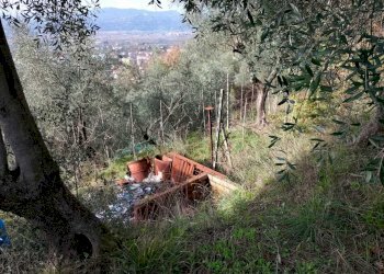 esterno - Terreno agricolo Santo Stefano di Magra - foto 5