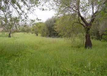 Terreno agricolo MONASTERI, Siracusa - foto 1