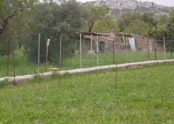 Terreno agricolo MONASTERI, Siracusa - foto 4