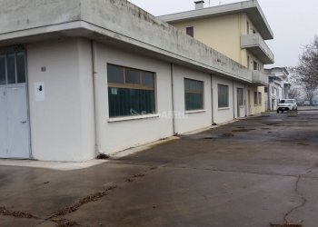 capannone - Shed via Ronchi, Minerbe - photo 7