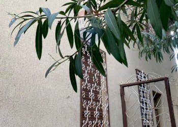 Independent house Via Giovanni Pascoli, 3-5 
 Borghetto Santo Spirito, Borghetto Santo Spirito - photo 6