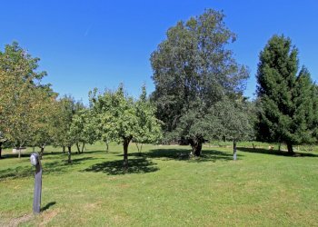 villa9.jpg - Villa Bagnone - foto 5