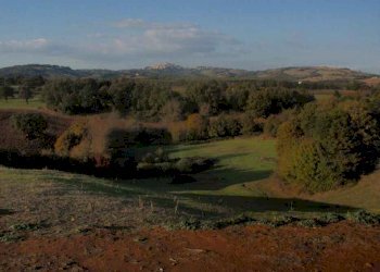 Farmhouse Manciano - photo 9