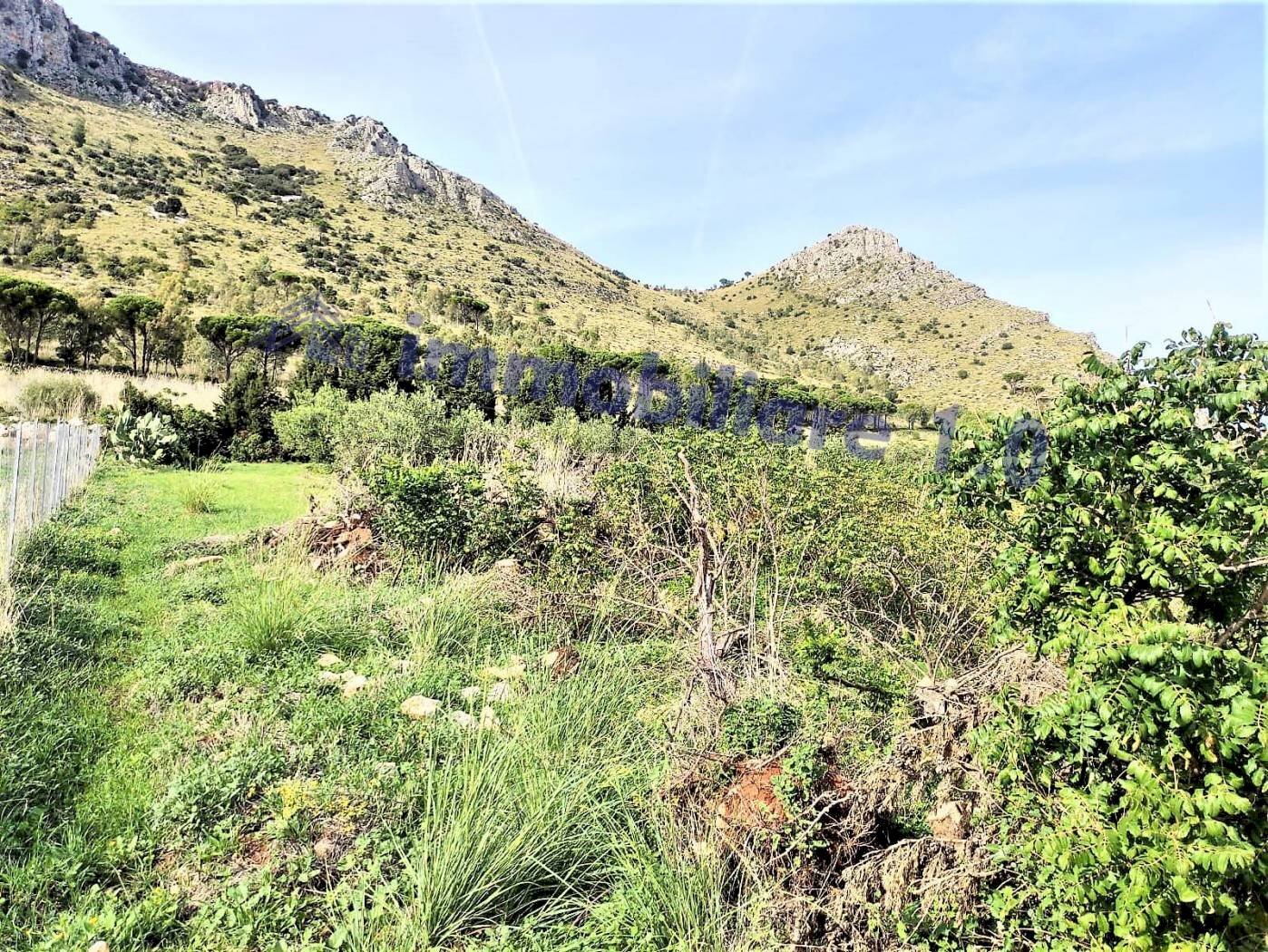 VISTA - Villa contrada Gagliardetta, Castellammare del Golfo - foto 3