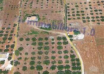 TERRENO - Villa contrada Gagliardetta, Castellammare del Golfo - foto 6