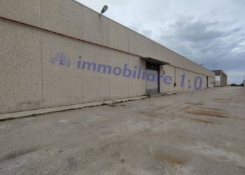 bmbm - Shed Carini - photo 17