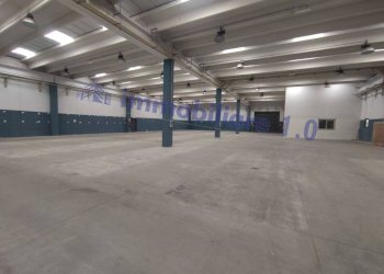 MHDDMH - Shed Carini - photo 30