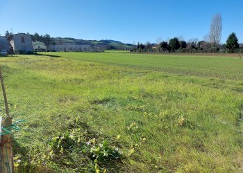 lotto edificabile - Terreno residenziale Via Trieste, frazione Villa Vezzano, Brisighella - foto 2