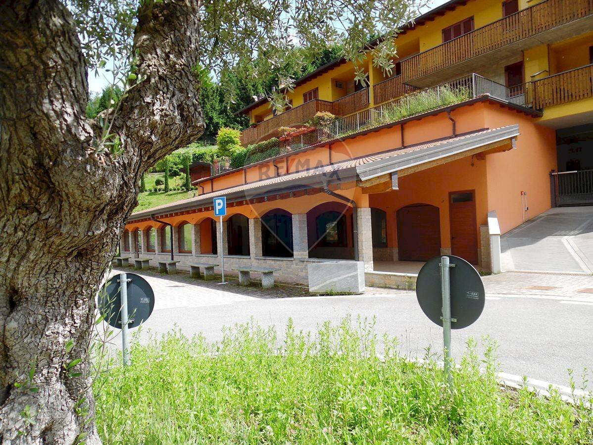 Locale Commerciale Endine Gaiano - foto 3