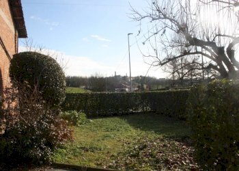 Giardino - Rustico via Roma, Montiglio Monferrato - foto 7