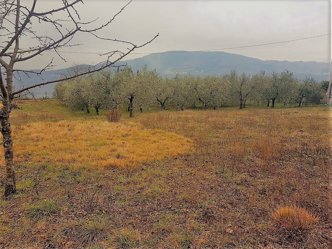 5.jpg - Rustico del castellaccio, Lucca - foto 2