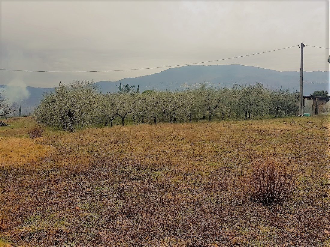 6.jpg - Rustico del castellaccio, Lucca - foto 3