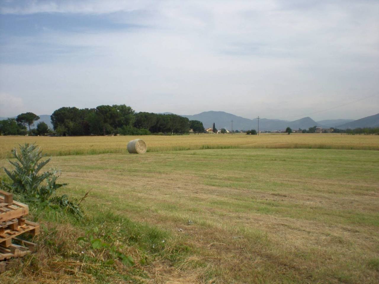 8.jpg - Rustico del castellaccio, Lucca - foto 1