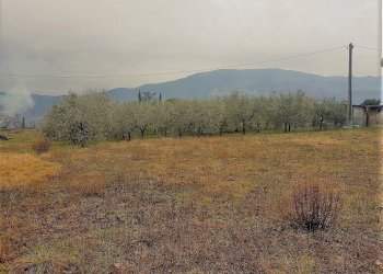 6.jpg - Rustico del castellaccio, Lucca - foto 3