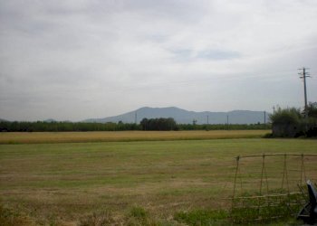 7.jpg - Rustico del castellaccio, Lucca - foto 4