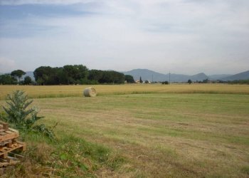 8.jpg - Rustico del castellaccio, Lucca - foto 1