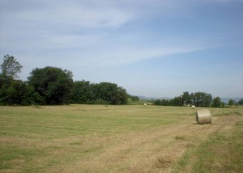 9.jpg - Rustico del castellaccio, Lucca - foto 6