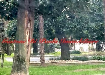 Bilocale Milano - foto 21