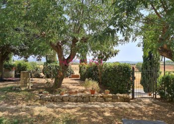 Rustico Roccastrada - foto 25