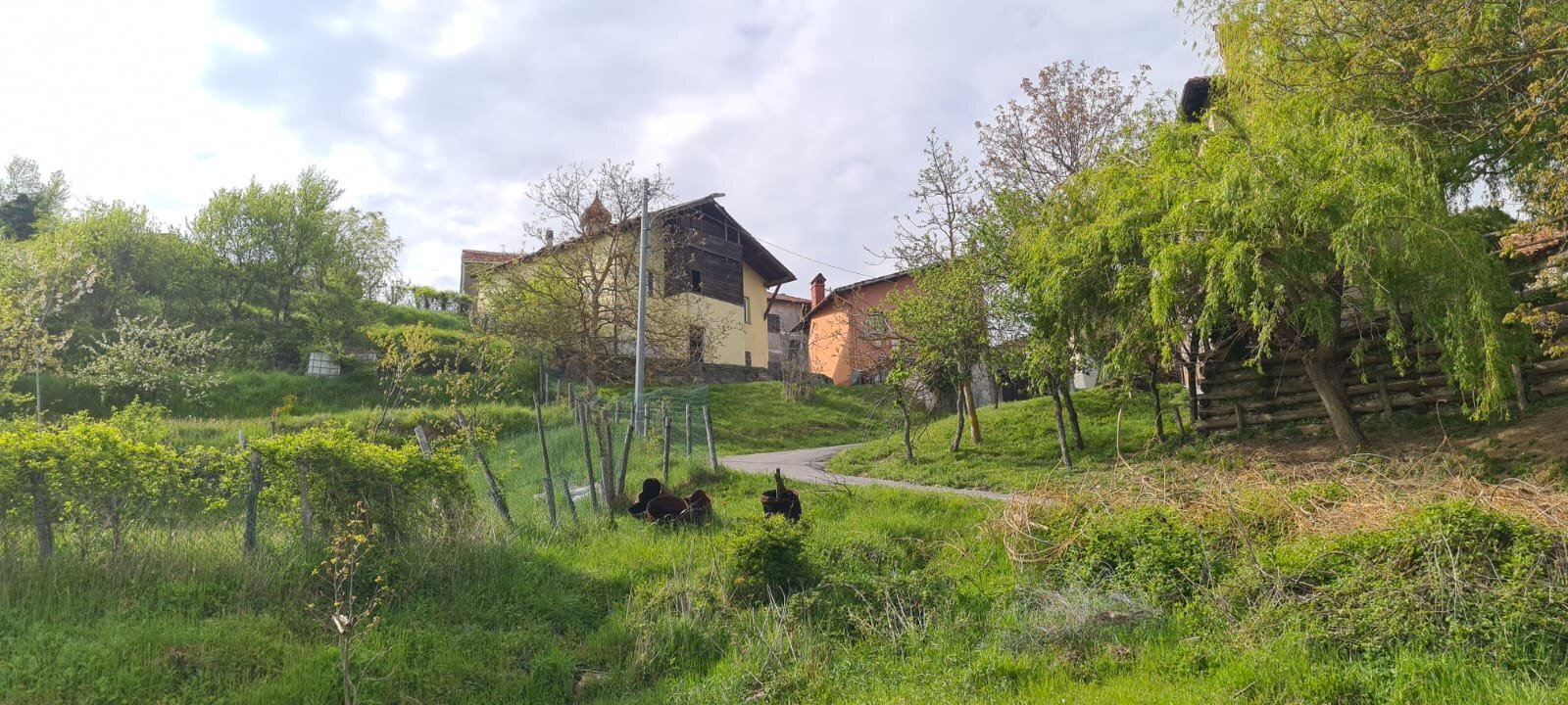 Casa indipendente Isola del Cantone - foto 2