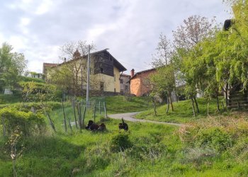 Independent house Isola del Cantone - photo 2