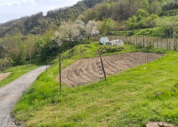 Independent house Isola del Cantone - photo 42