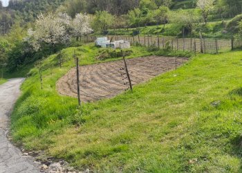 Independent house Isola del Cantone - photo 43