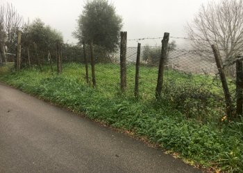 IMG-1872.JPG - Agricultural land Via Monte Calcaro 51, Sacrofano - photo 2