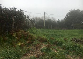 IMG-1868.JPG - Agricultural land Via Monte Calcaro 51, Sacrofano - photo 5