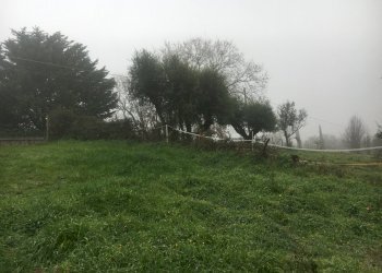 IMG-1869.JPG - Agricultural land Via Monte Calcaro 51, Sacrofano - photo 6