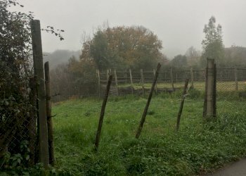 IMG-1873.JPG - Agricultural land Via Monte Calcaro 51, Sacrofano - photo 8