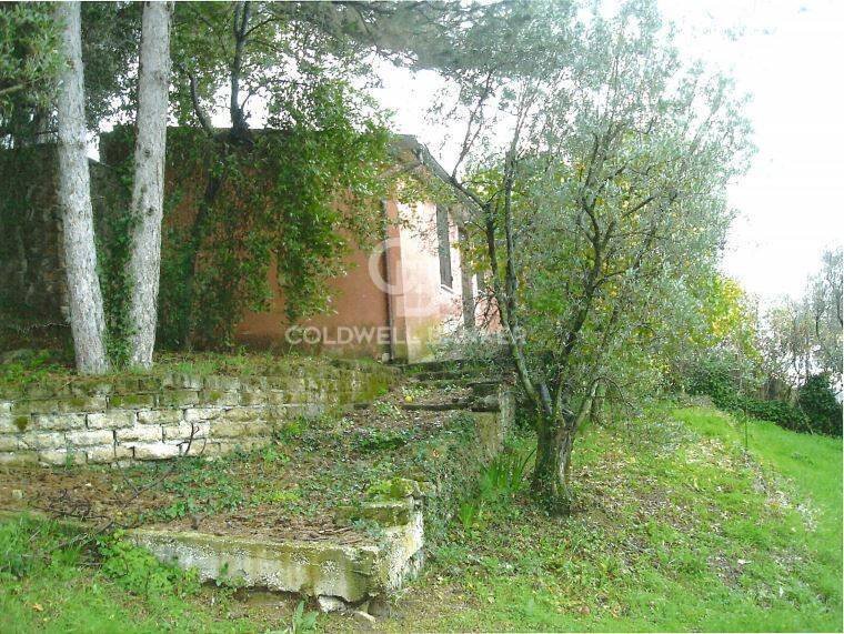 Terreno edificabile Via Appia Sud, Velletri - foto 2