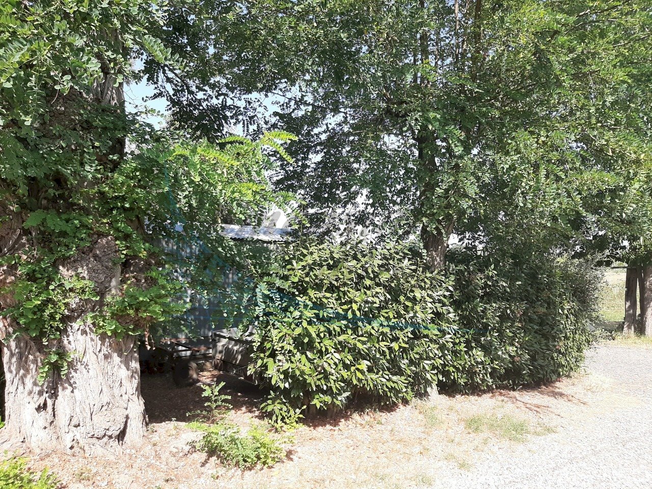 20210811_101130.jpg - Appartamento Via Don Minzoni, Rosignano Marittimo - foto 2