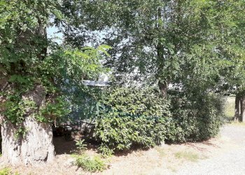 20210811_101130.jpg - Appartamento Via Don Minzoni, Rosignano Marittimo - foto 15