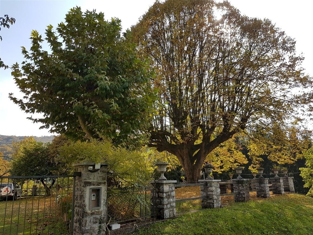 Giardino di proprieta - Villa via Provinciale 56, Alta Valle Intelvi - foto 3