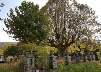 Giardino di proprieta - Villa via Provinciale 56, Alta Valle Intelvi - foto 3